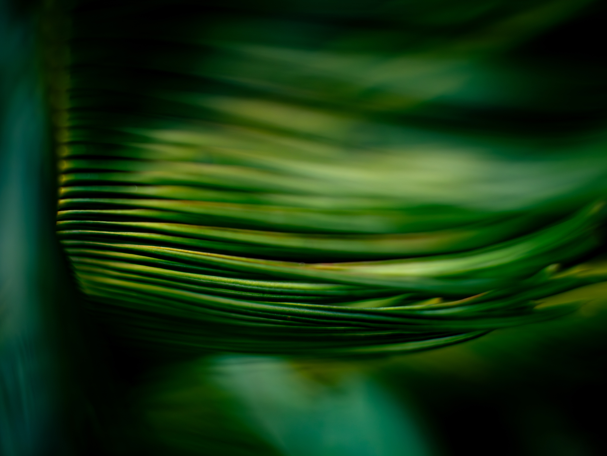 BRG’s 2025 Medicaid Policy Review examines the One Big Beautiful Bill Act’s key policy changes, which represent the most significant shift in federal Medicaid policy in over 15 years.