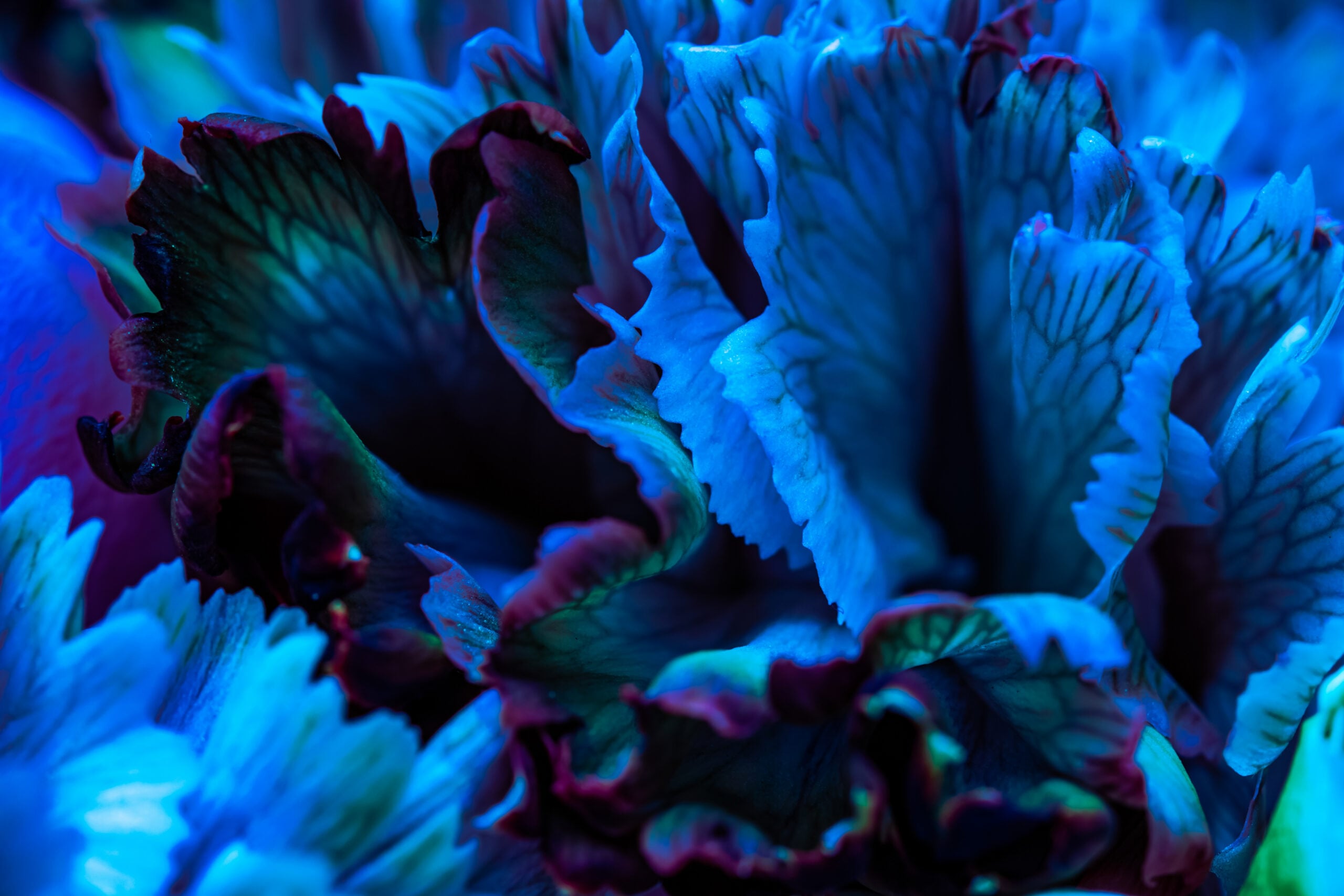 The Competition and Markets Authority’s Call for Evidence on Merger Efficiencies