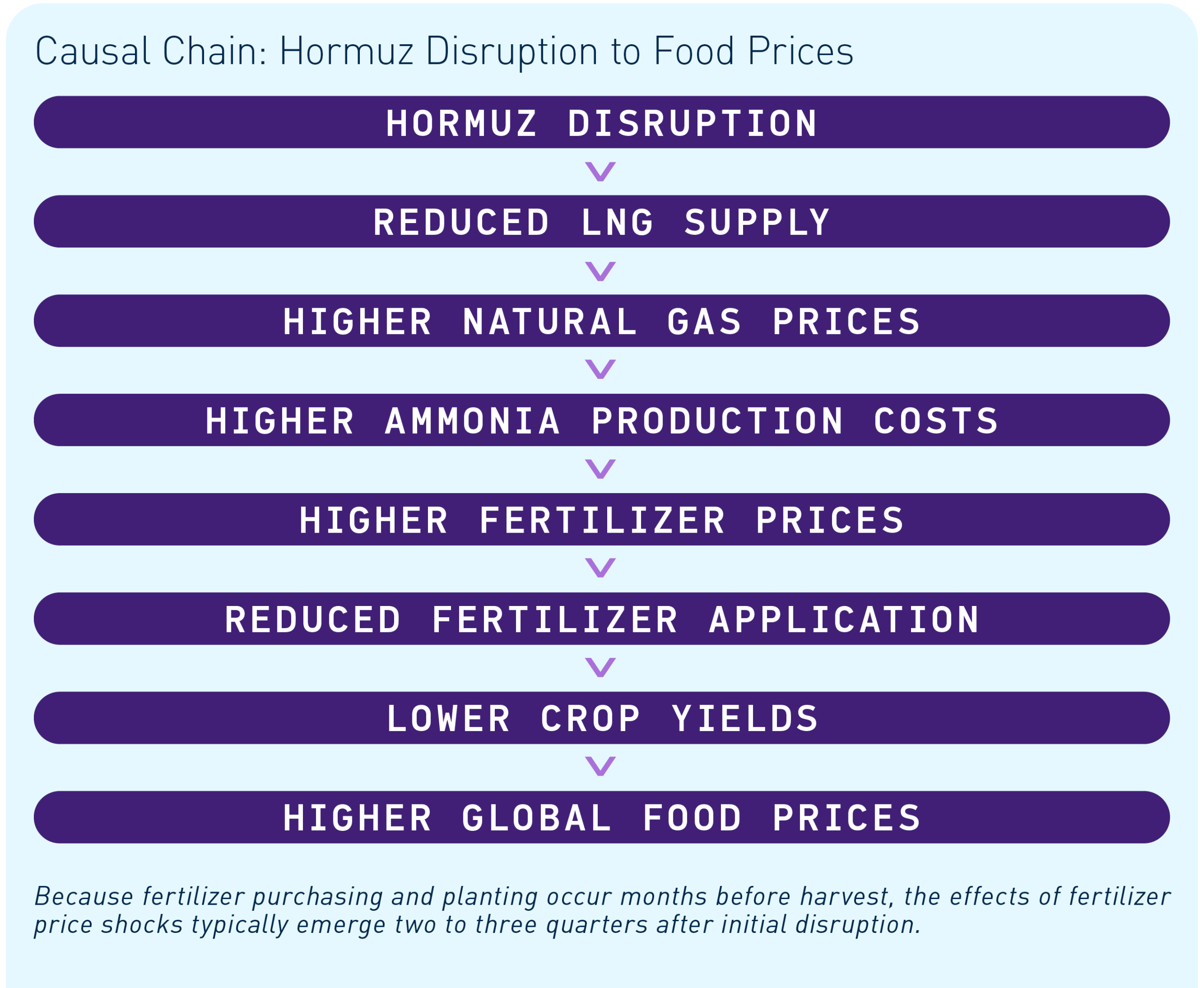 Causal Chain: Hormuz Disruption to Food Prices