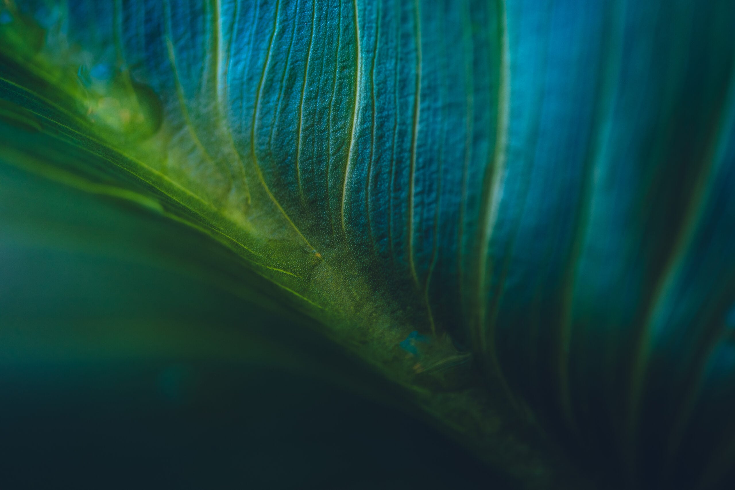 Foreign Investment Watch has selected Steve Klemencic among the 2026 top advisors on national security and foreign investment