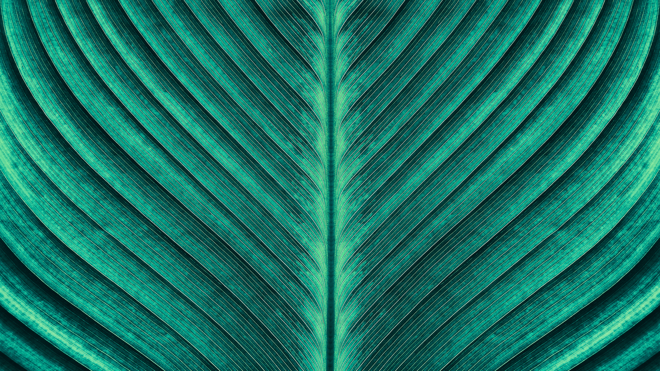 FASB to Review Debt and Equity Guidance