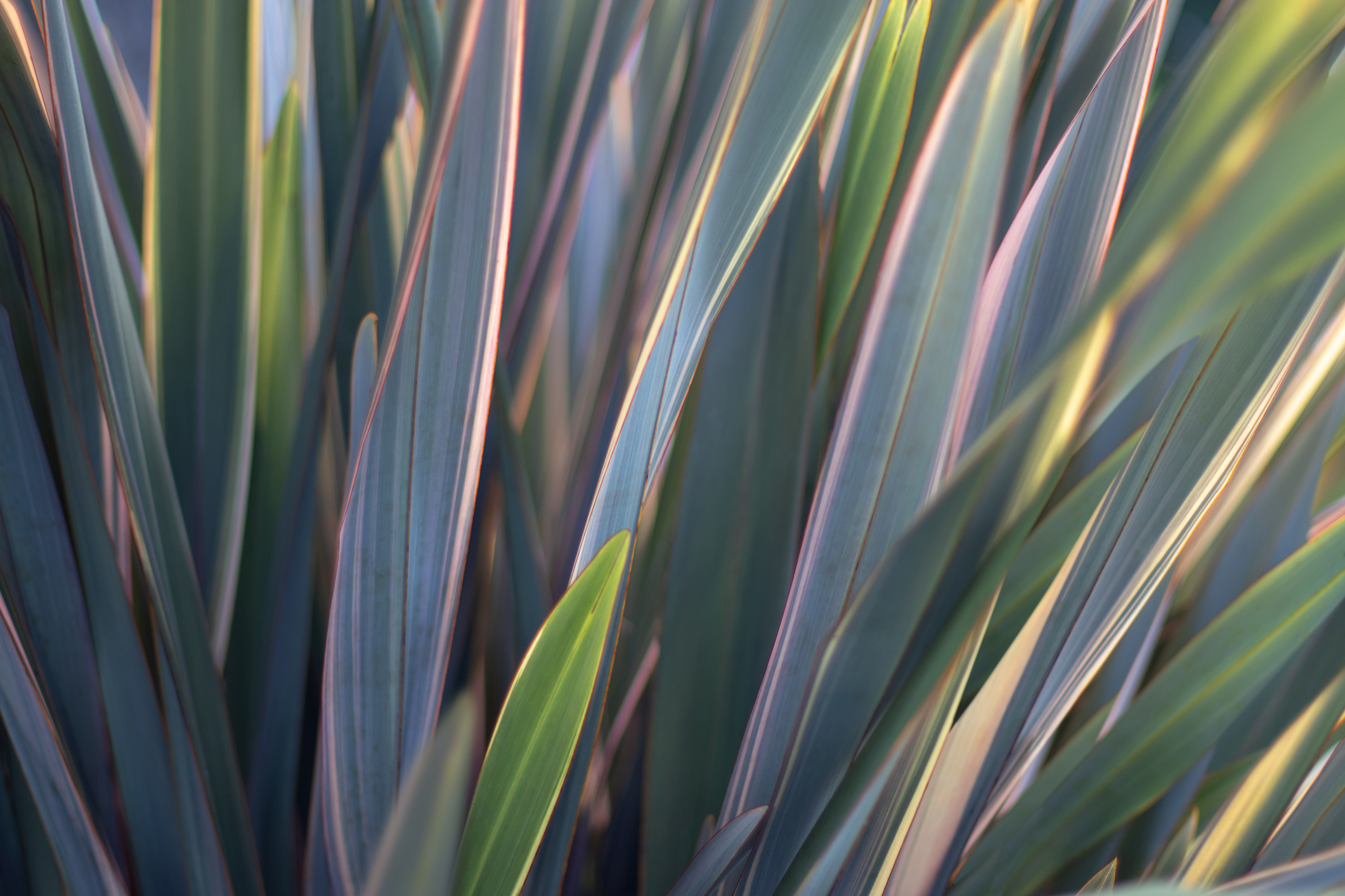 BRG Strengthens Forensic Accounting and Investigations Practice with Two Senior Hires