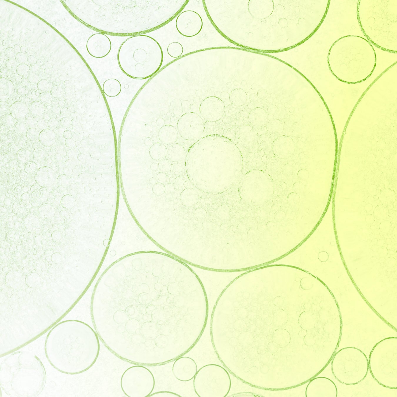 Clinical & Quality Transformation